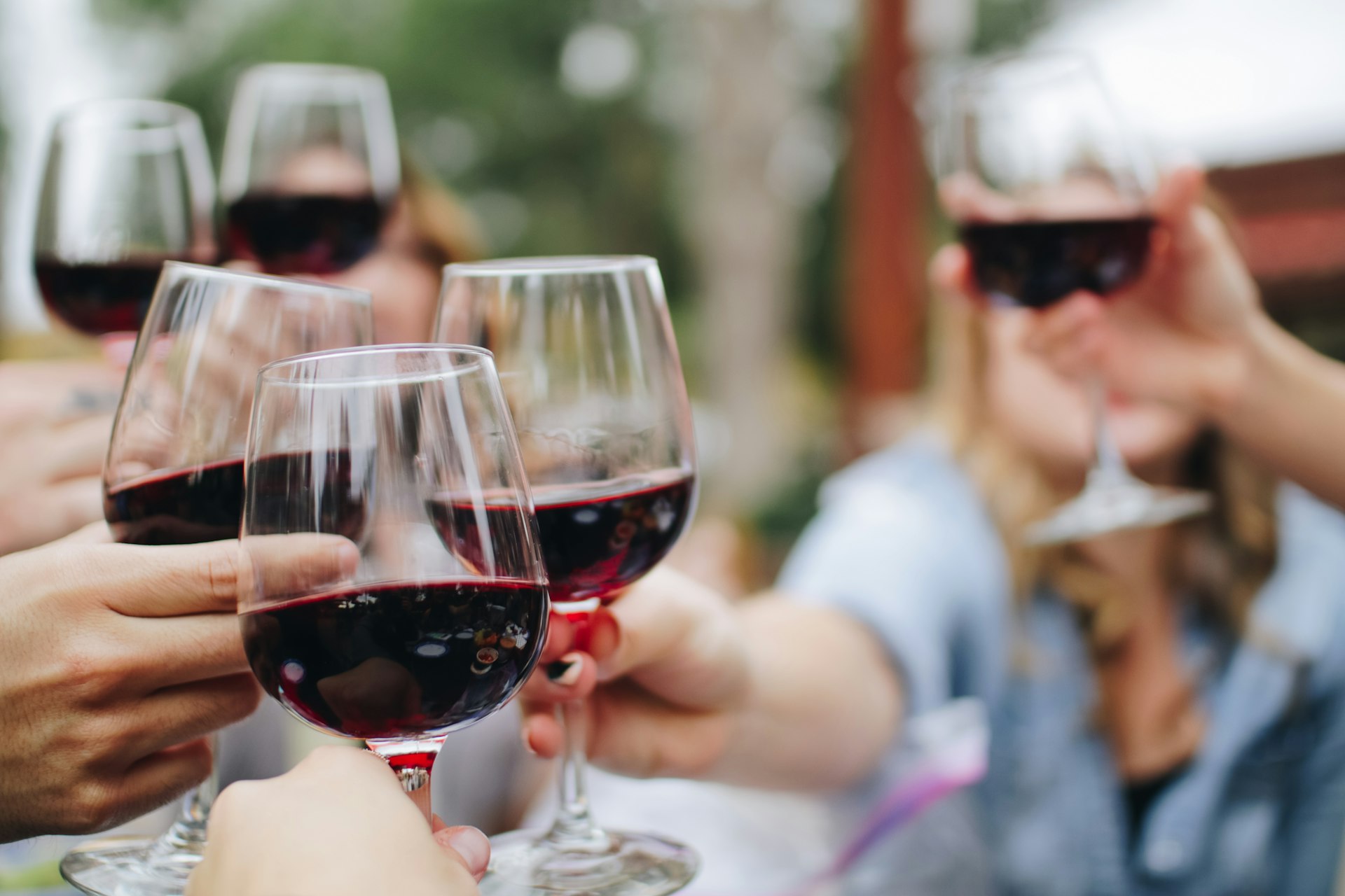 Wine cellar atmosphere